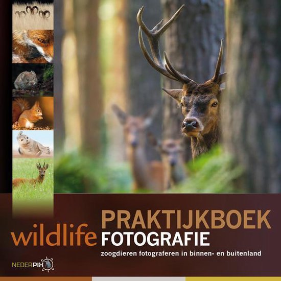 Praktijkboeken natuurfotografie 5 -   Praktijkboek wildlife fotografie
