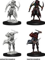 D&D Miniatures Tiefling Female Rogue - EN