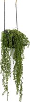 Kolony- Kunstplant -  Hangplant - Groene hangplant op zwarte bol van 13 cm