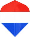 Afbeelding van het spelletje Nederlandse Vlag Flight