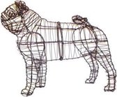 Hond Pug Mopshond - Frame