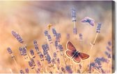 Schilderijkoning - Canvas Schilderij Vlinders Tussen Lavendel - 30 x 20 cm