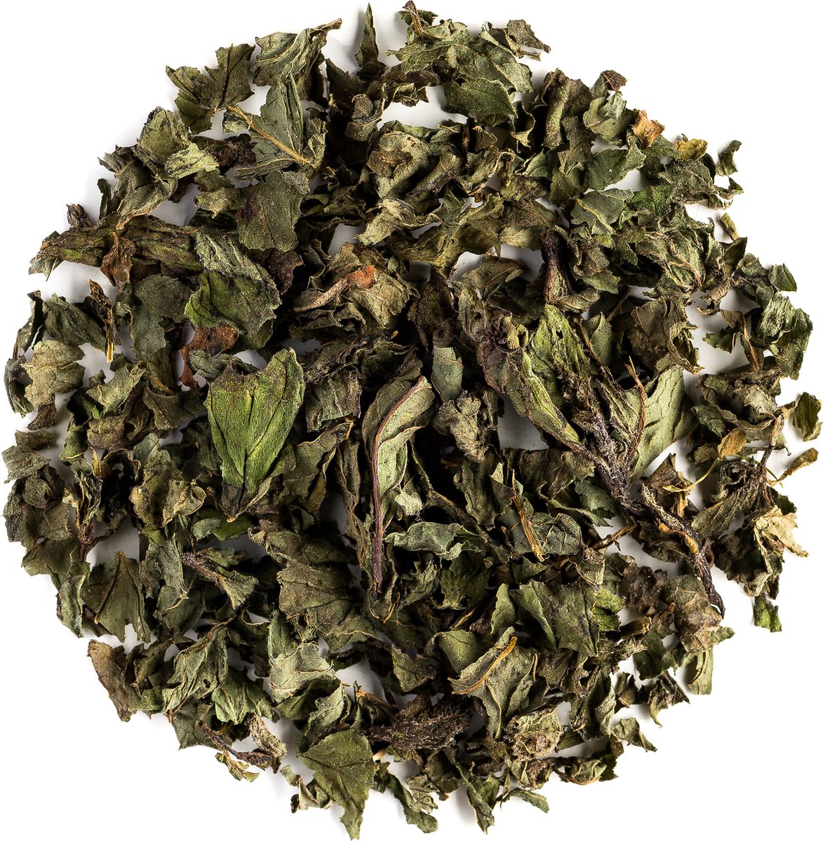 Goedkoopste Pepermunt Zuivere Bio Kruiden Thee - Zoet En Verfrissend - Peppermint - Mentha Piperita