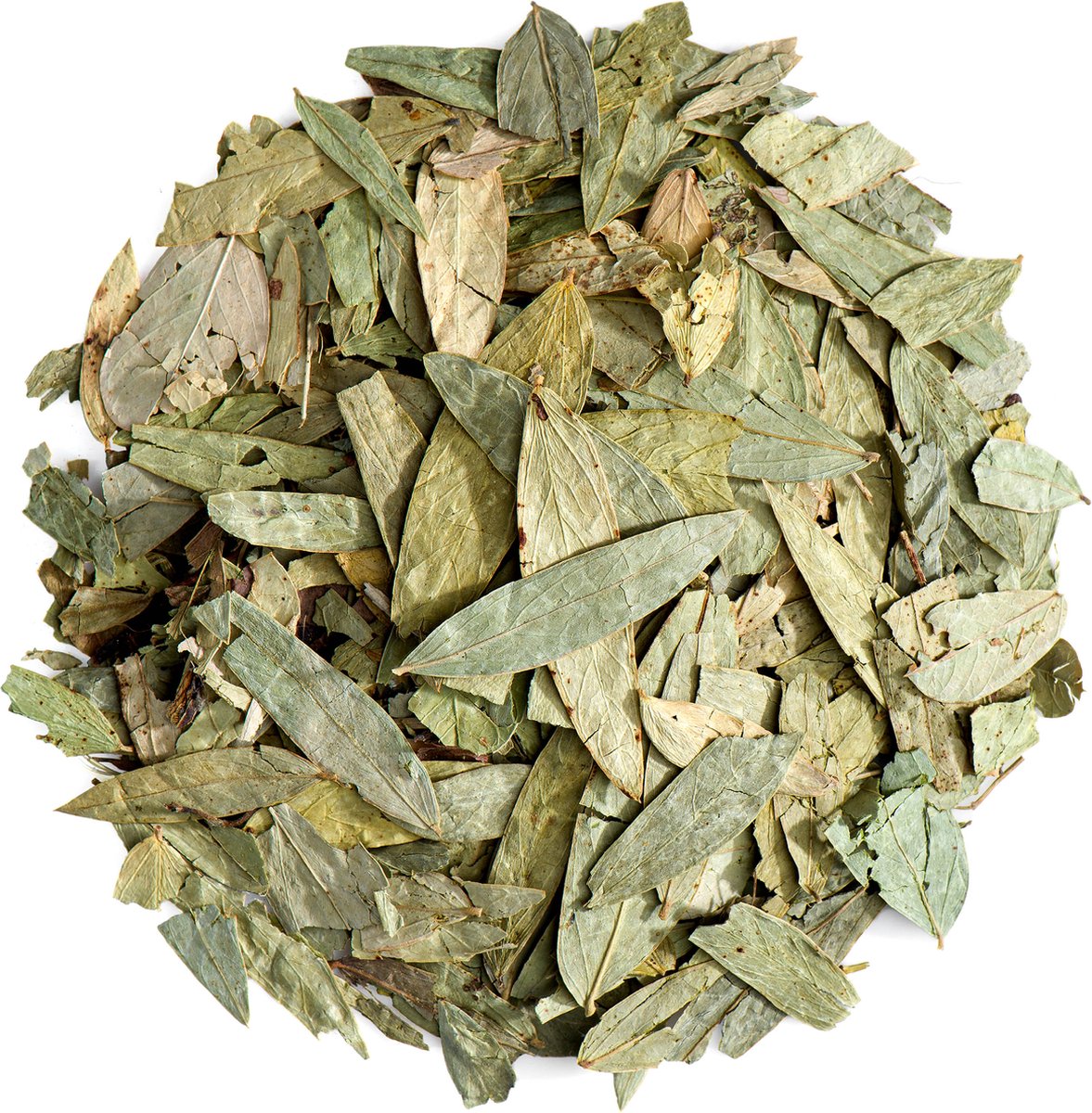 Senna Bladeren Bio Kruidenthee