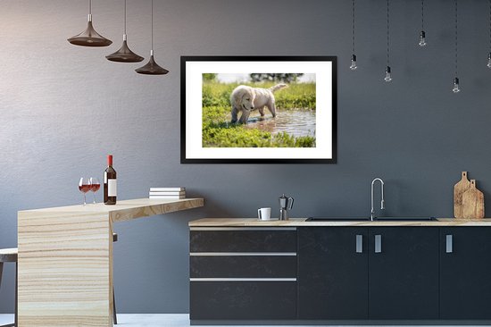 Photo encadrée - Puppy jouant dans un étang cadre photo noir avec passe partout blanc 60x90 90x60 cm - Affiche encadrée (Décoration murale salon / chambre)