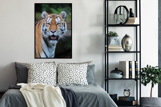 Cadre photo avec affiche - Tigres - Bâillement - Nature - 60x90 cm - Cadre pour affiche