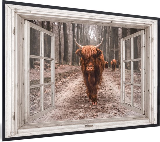 Affiche avec cadre Transparent - Highlander écossais - Fenêtre - 90x60 cm