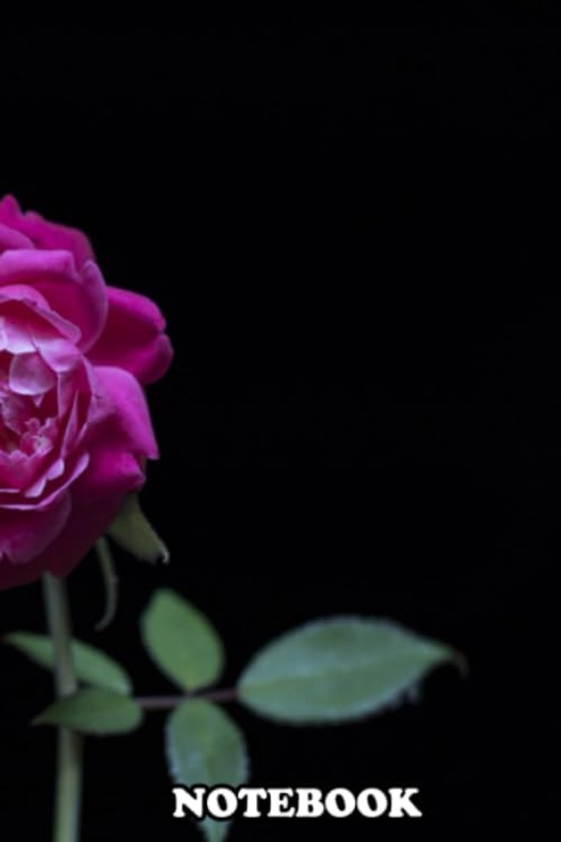 Single Purple Rose On A Dramatic Black Backdrop, Journal for Writing, College Ruled Size 6" x 9", 110 Pages