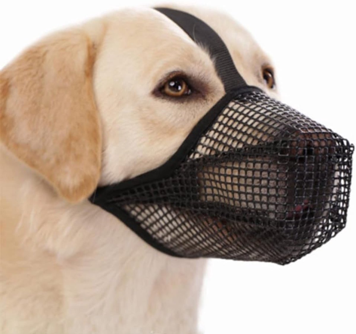 Muilkorf voor honden, ademend, van mesh, verstelbaar, antislip, anti-bijt, voor wandelen, training, dierenartsen (M)