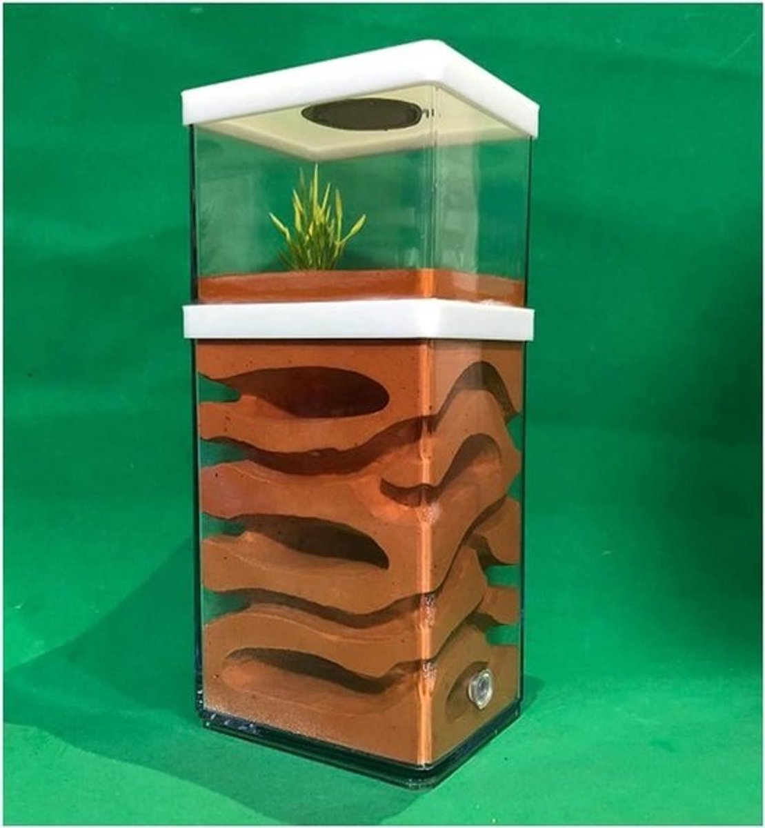 Mierenboerderij Nest - Insectenkweekhuis - Mieren Observeren - Gips & Acryl - 10x8x15cm - Transparant