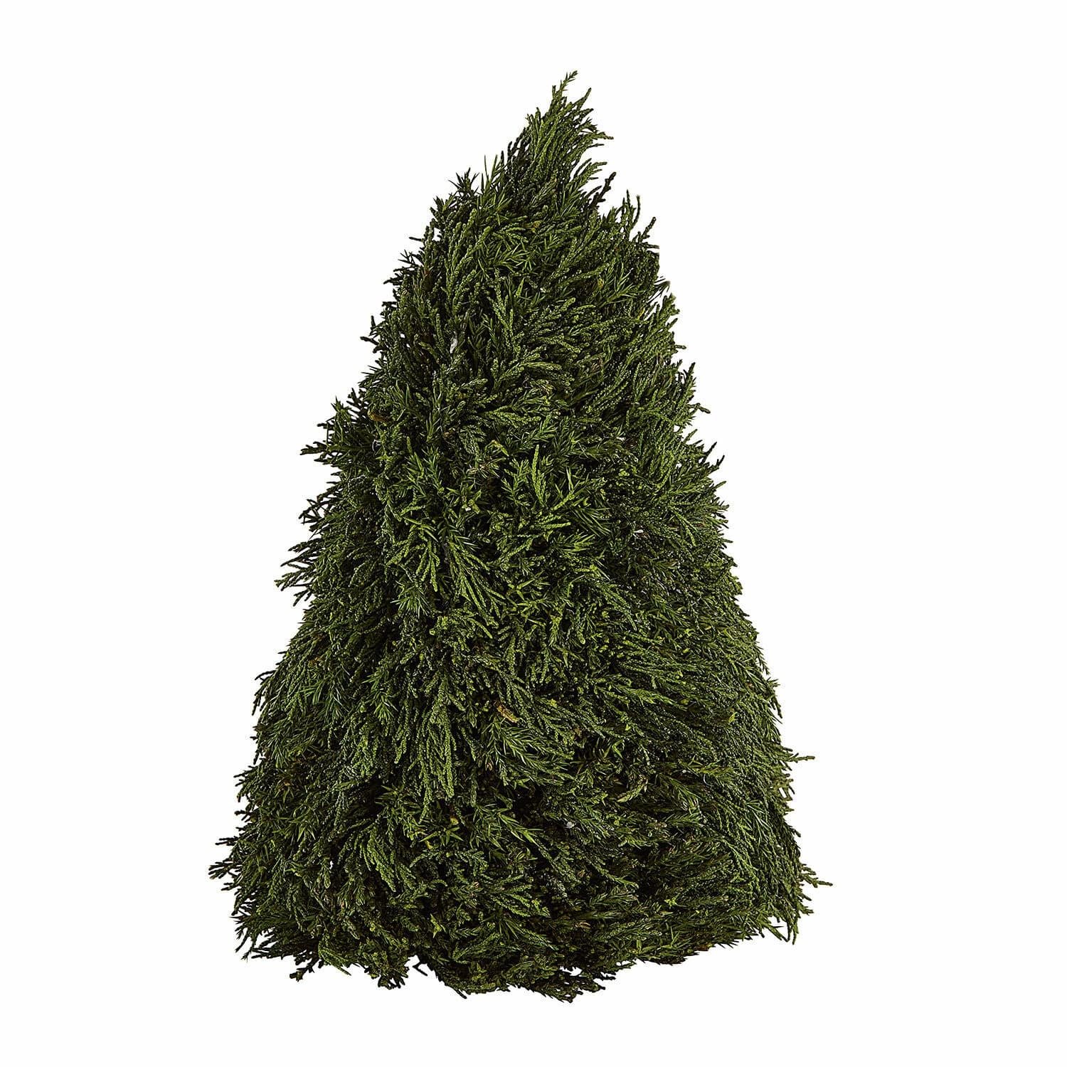 Loberon Sierboom Moran groen