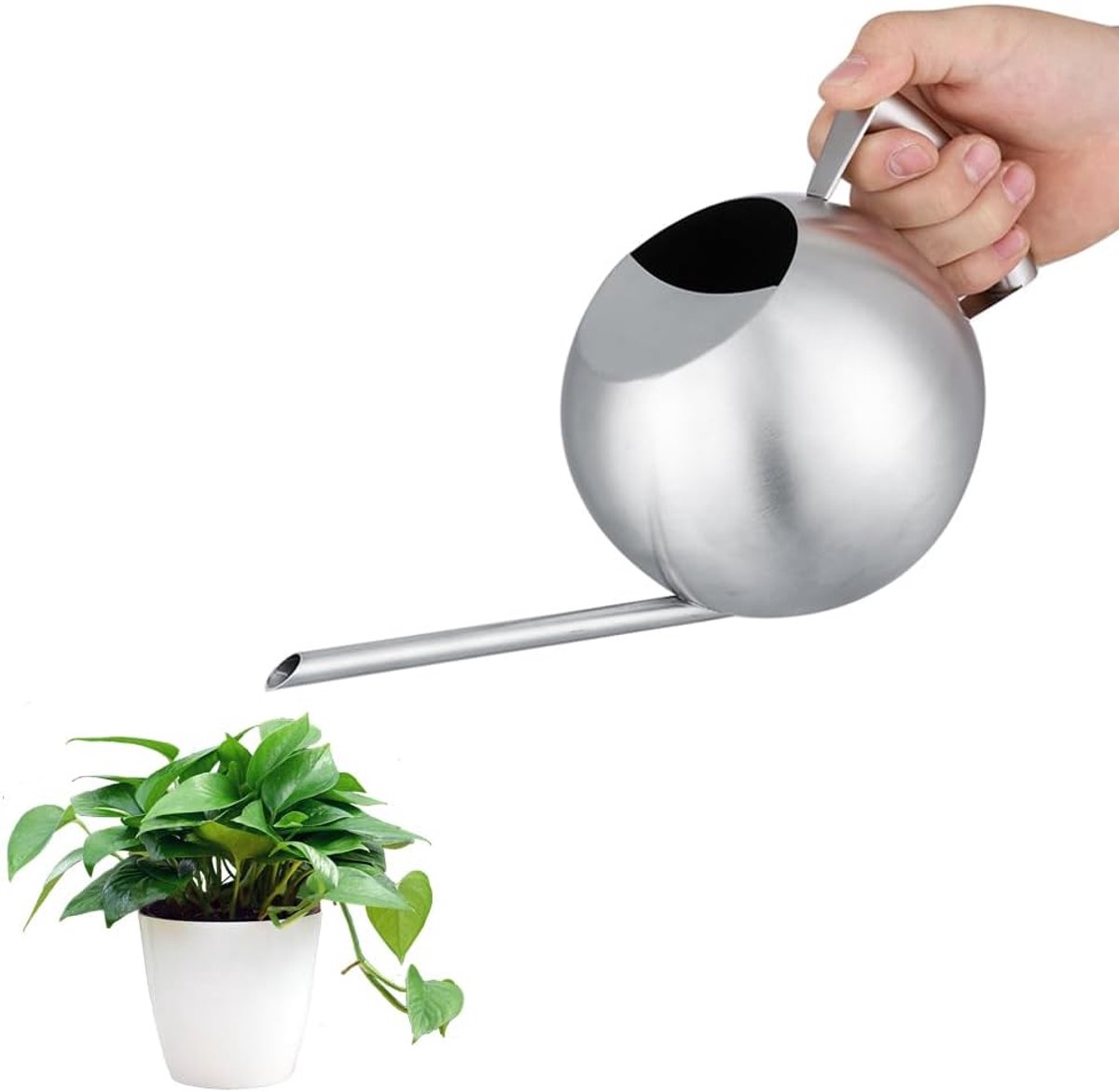 Gieter voor kamerplanten, 1000 ml, metalen gieter met lange schenktuit, gieter voor binnen, voor buitenplanten, voor binnen, huis, tuin
