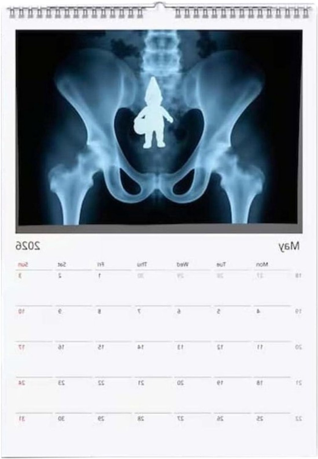 Wandkalender 2026 - Gezinsplanner en jaarkalender - Jaarplanning - Heldere maandindelingen - 21 x 297 cm - Niet gespecificeerd