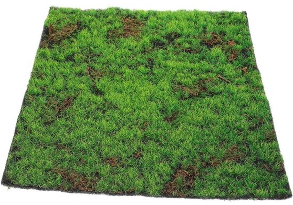 Kunstgrastegels - Mos tapijt - Voor interieurdecoratie - Zeer realistisch - 30 x 30 cm - Groen