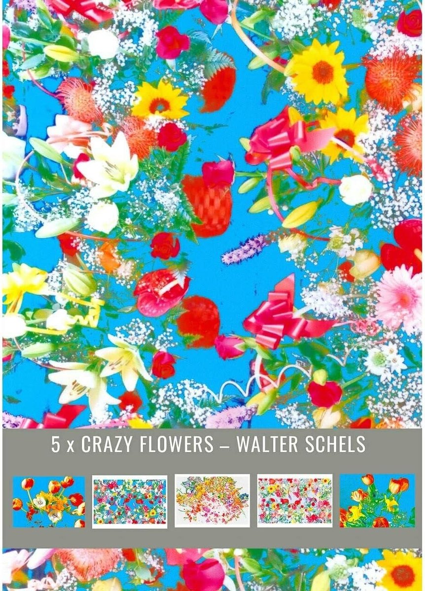 ansichtkaartenset 5 crazy flowers - kleurrijke illustraties - unieke ontwerpen - perfect voor bloemenliefhebbers - ShopVlot