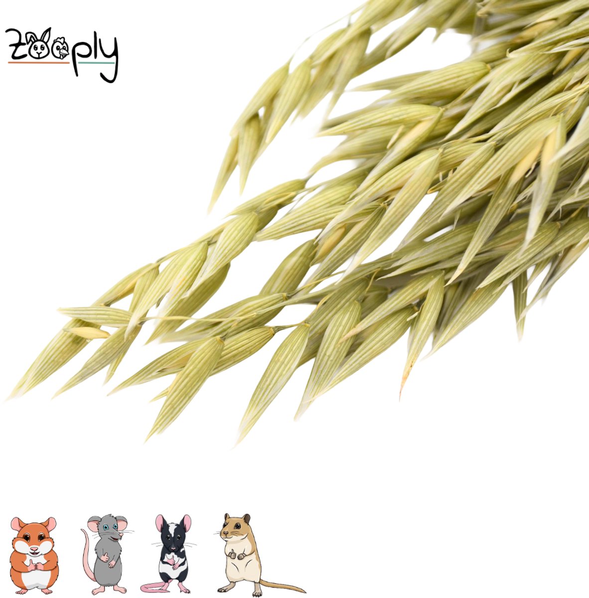 Zooply Haver - 100 gram - in koker