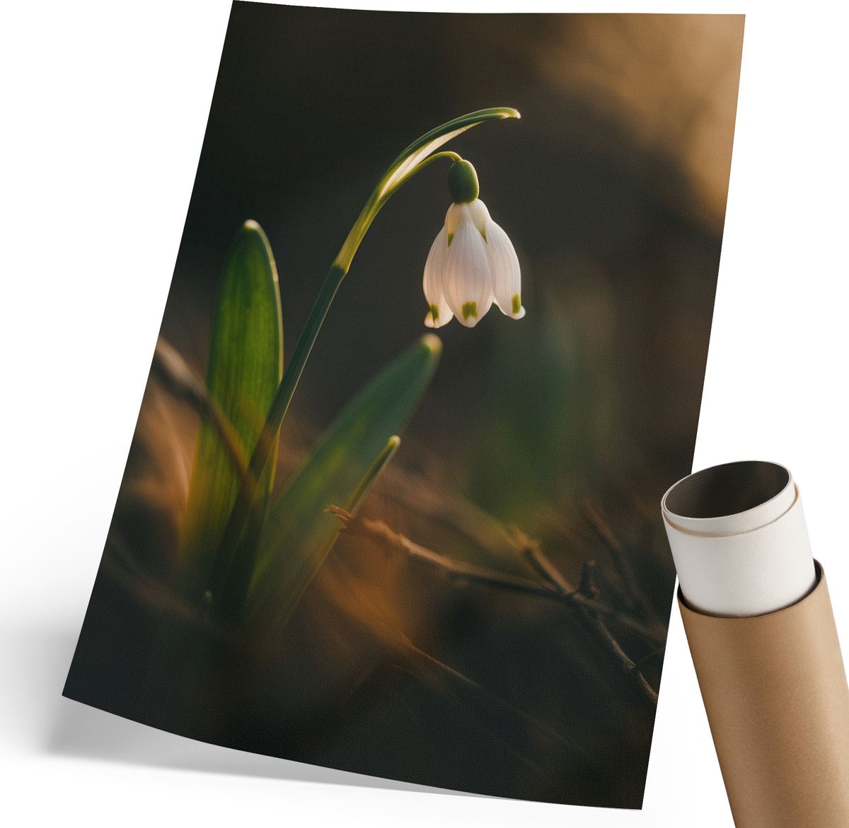 Coloray Polycanvas Wandposter - Herfsttram, Oranje - 420 x 594 mm - Wit Design - Rechthoek - Canvasposter - Woonkamer - Minimalist