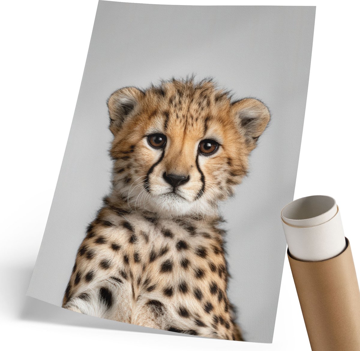 Coloray Polycanvas Wandposter - Jonge Cheetah, Fotografie - 210 x 297 mm - Beige Poster - Rechthoek - Interieurdecoratie - Woonkamer, Slaapkamer, Kantoor - Modern