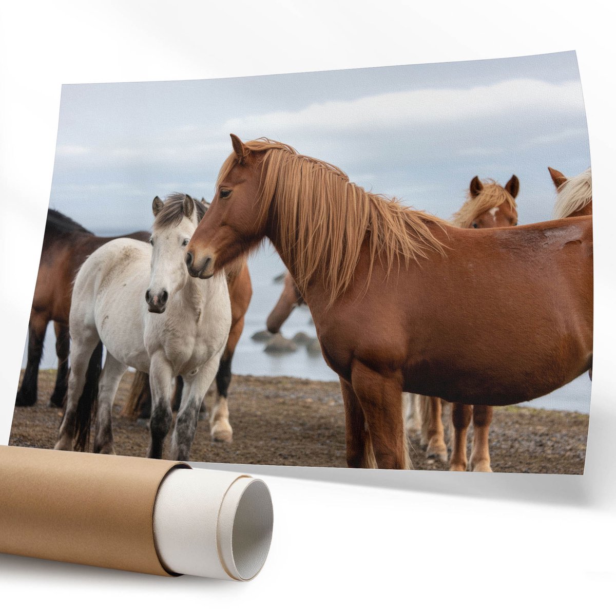 Coloray Polycanvas Wandposter - Exotische Palmboom, Fotografie - 594 x 840 mm - Turkoois Kunst - Rechthoek - Wandkunstwerk - Slaapkamer - Modern