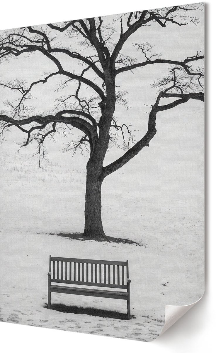 Coloray Polycanvas Wandposter - Winterse Vrede, Fotografie - 594 x 840 - Zwart-wit Kunst - Rechthoek - Wandkunstwerk - Slaapkamer - Minimalist
