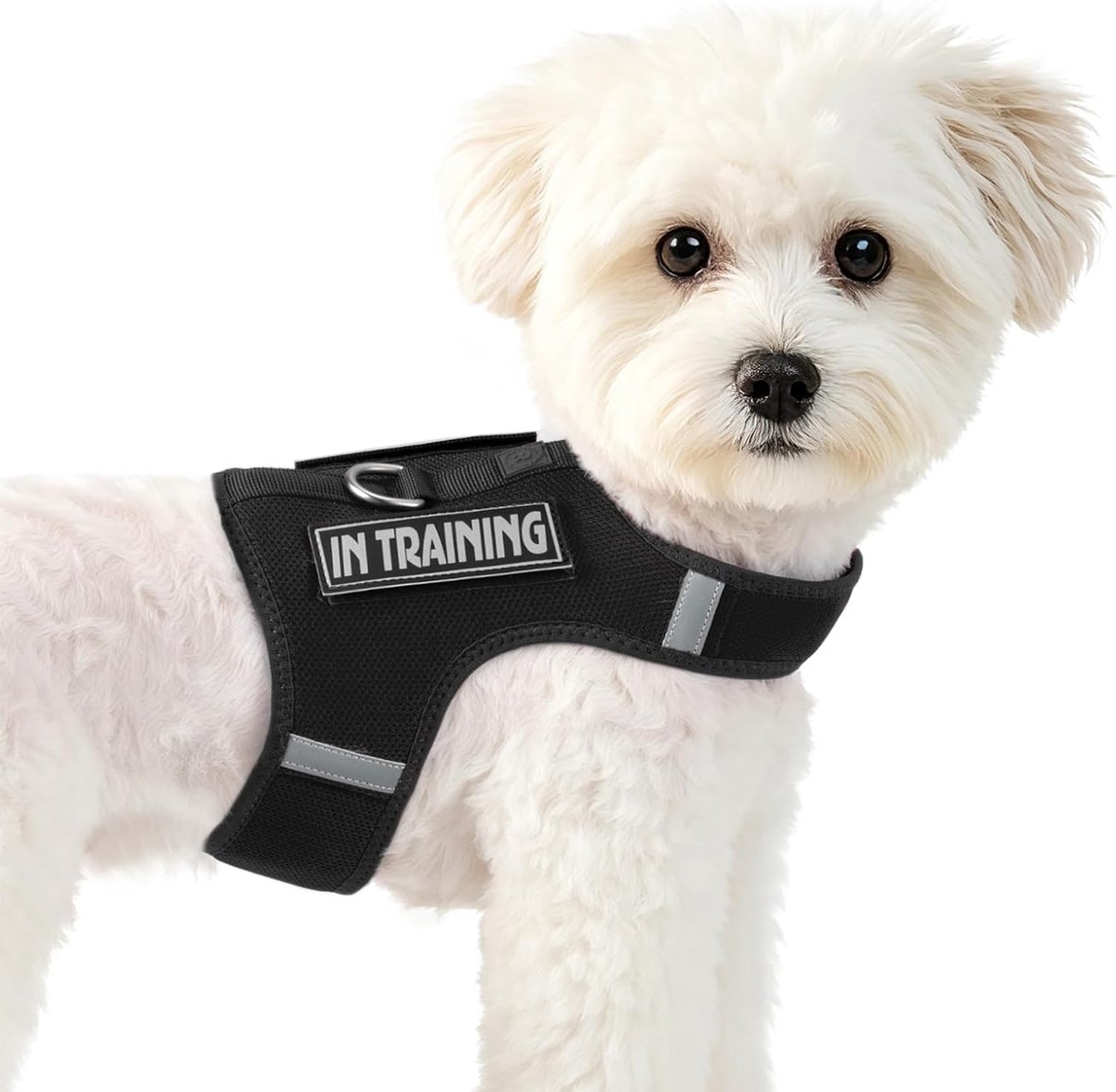 Puppyharnas voor kleine honden, in grootte verstelbaar, ademend zacht vest met reflecterende strepen + 2 klittenbandpatches (zwart, S)