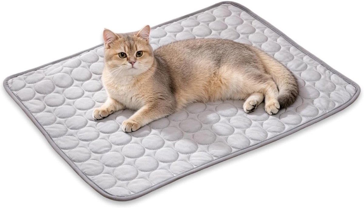 1 x 50x40cm zijden koelmat voor katten en kleine honden, waterloos koelbed zomer, voor binnen en buiten (grijs)