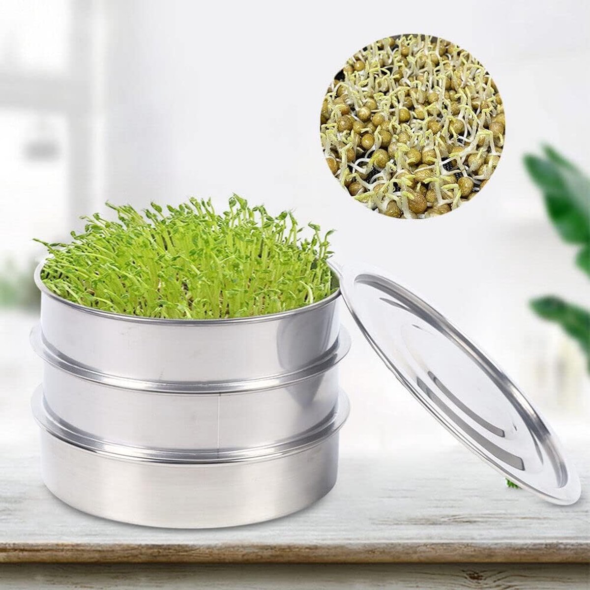 Kiemschaal, kiemschaal, kweekschaal en microgreens kweekschaal met afdekking, zaadhydrocultuur zaad, kieming voor tuin