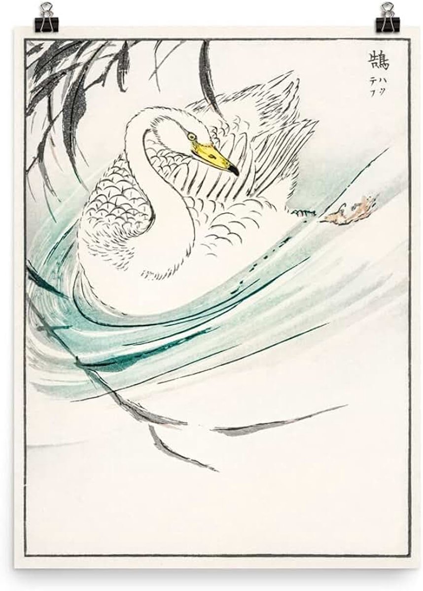 Swan Antieke Vintage Kashu Japanse Houtblok Natuur Illustratie Vogelliefhebber Botanische Illustratie Ornithologie Studie Decor Zoölogie Fine Art Poster Print