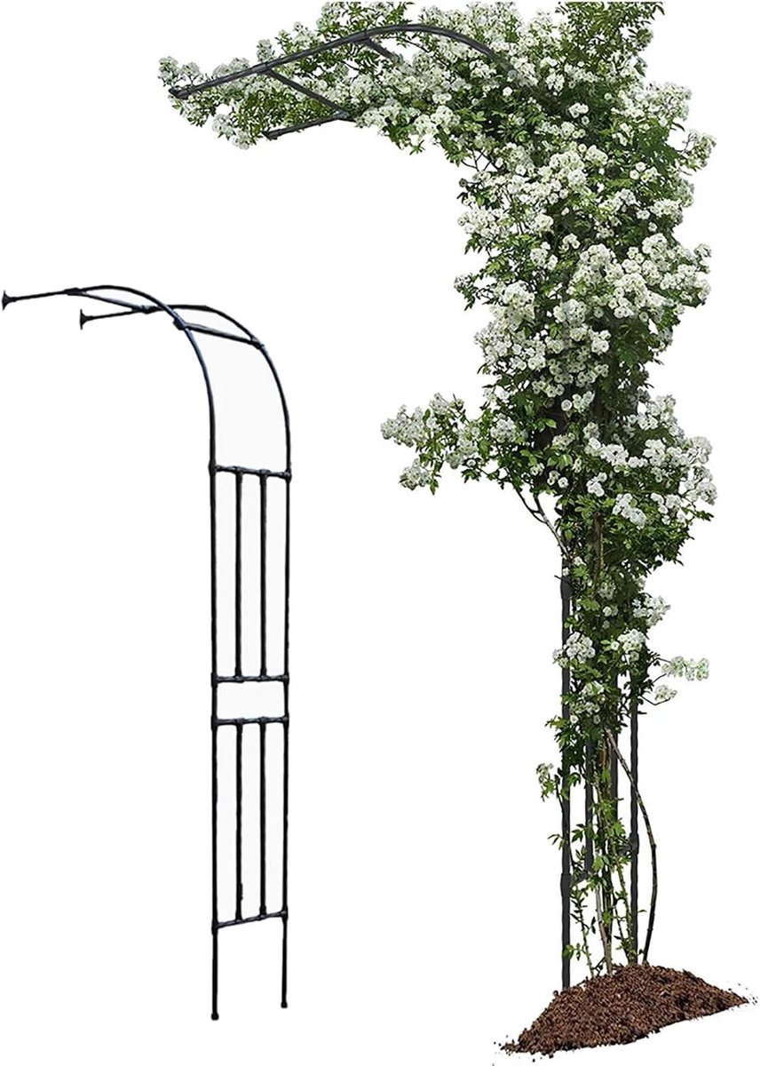 Halve rozenboog voor klimplanten, metaal, 240 x 240 cm