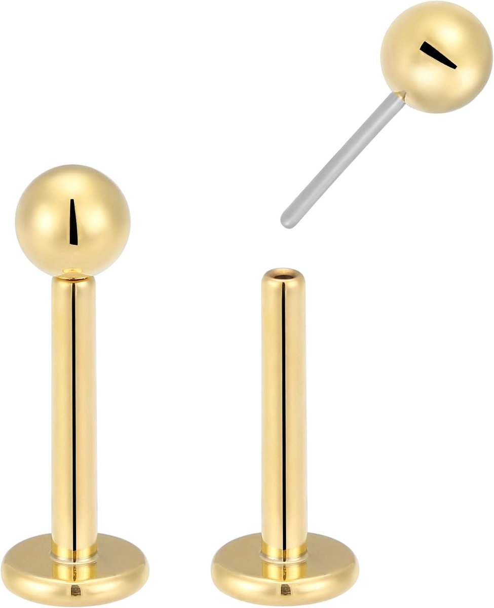 2 STKS Titanium 20G 18G 16G Threadless Platte Terug Stud Oorbellen Labret Tragus Kraakbeen Lip Monroe Conch Body Piercing Sieraden