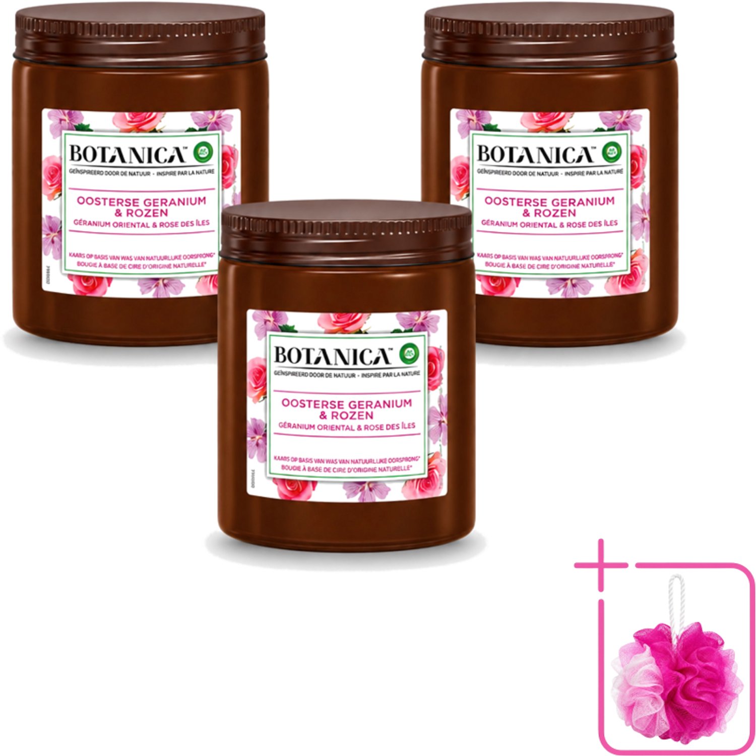 Air Wick 3 x Botanica by Air Wick - Geurkaars - Geranium & Rozen - 40 Uur Brandduur - Bulkverpakking - Geurkaars - Douchemop - Geranium en rozen Wit