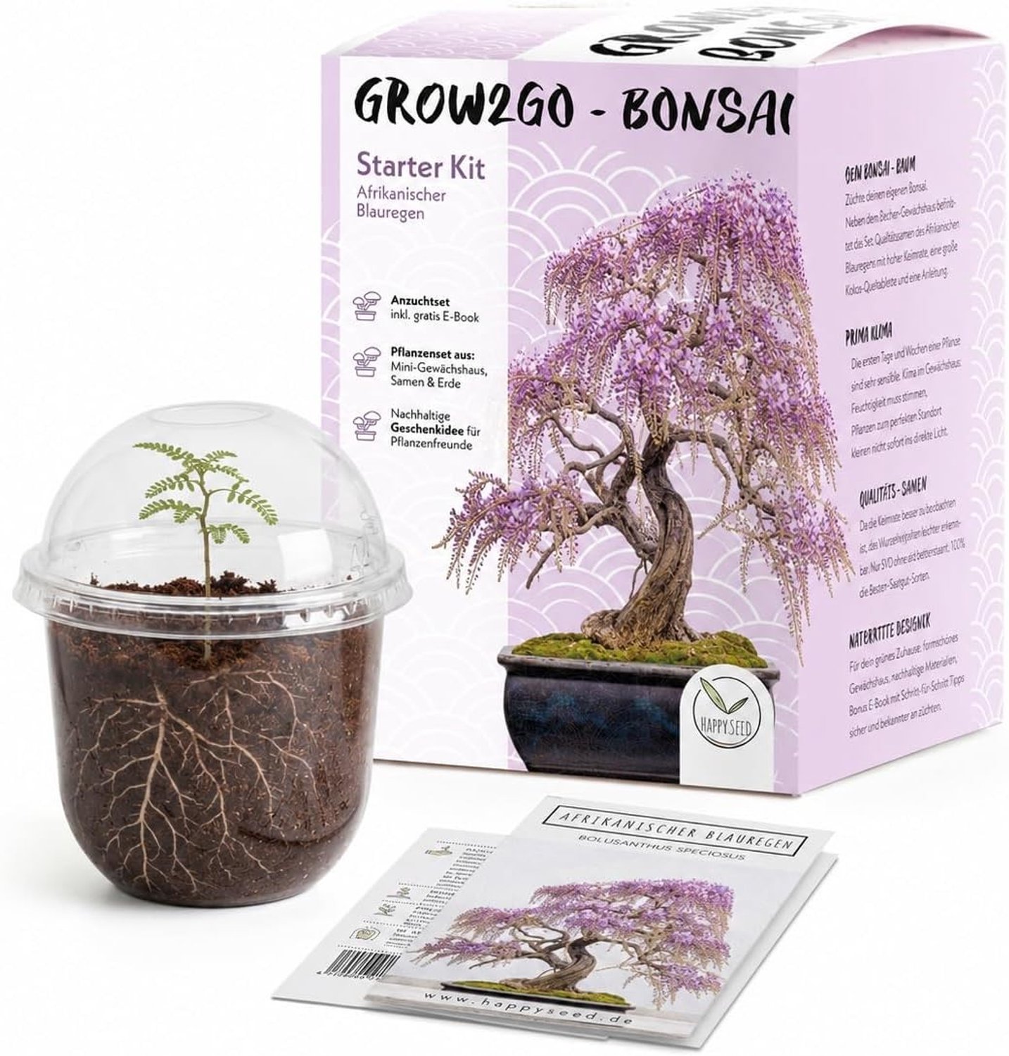 Bonsai Starter Kit - Afrikaanse blauwe regen - Afrikaanse blauwe regen - Kweekset met Minibroeikas, Zaden & Grond - Voor Plantenliefhebbers