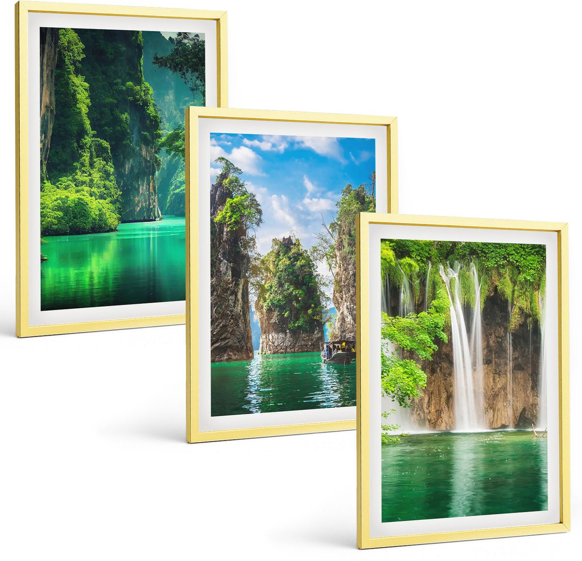 Coloray 3-Delige Schilderij Set - Groene Bladeren Van Vetplanten En Tere Takjes - 40 x 40 cm En 40 x 60 cm - Muurdecoratie - Decoratieve Schilderijen - Wohnzimmer