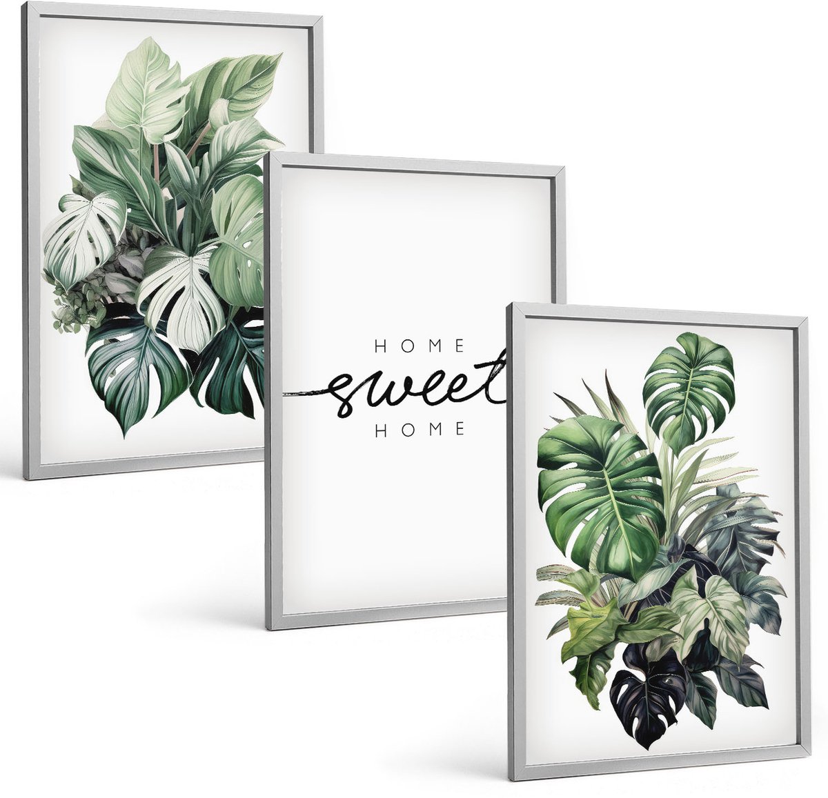 Coloray 3-Delige Schilderij Set - Planten In Het Groen Met De Woorden Sweet Home - 40 x 60 cm - Stijlvolle Wanddecoratie - Interieur - Moderne Wanddecoratie
