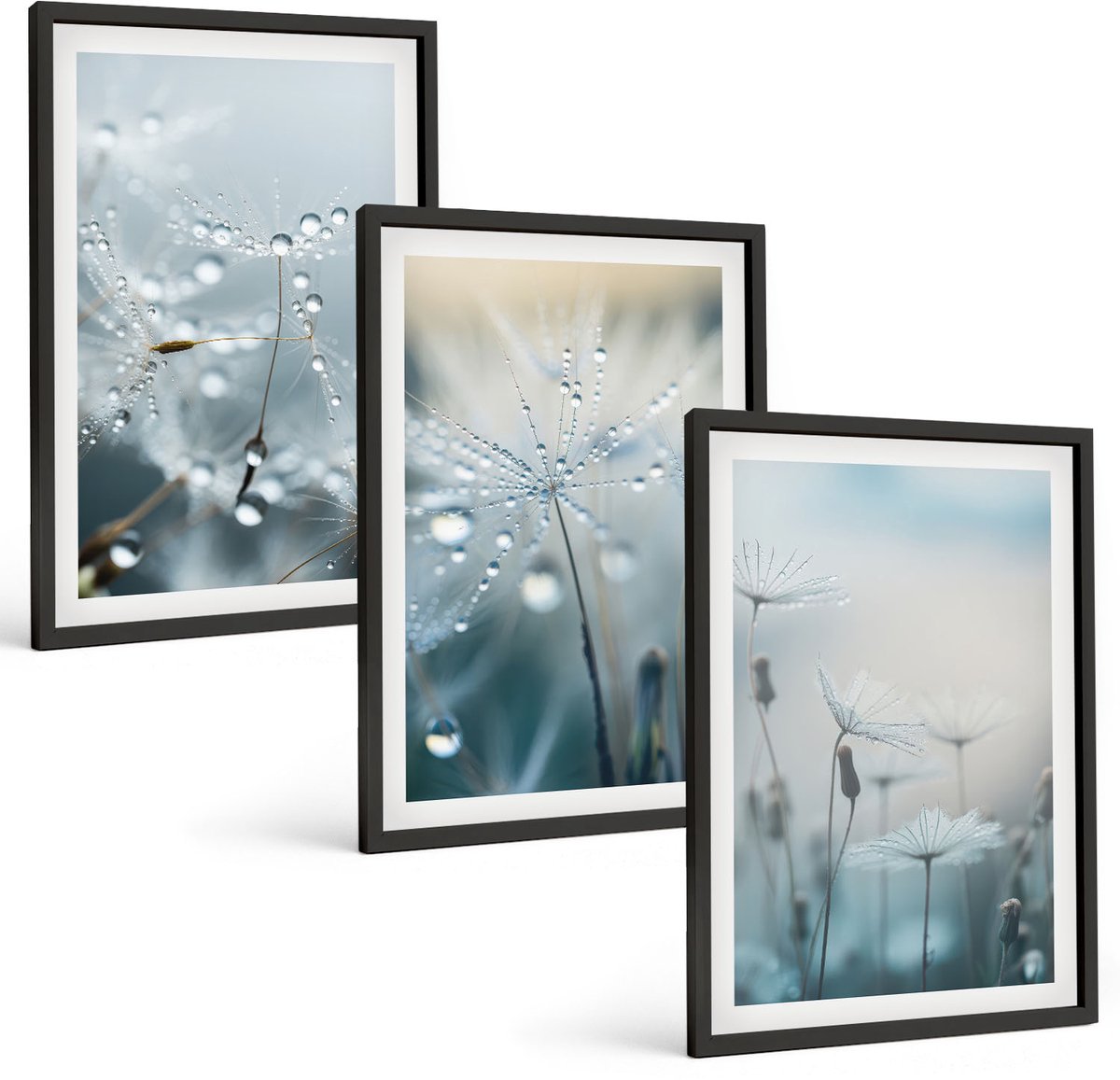 Coloray 3-Delige Schilderij Set - Dauwdruppels Op Tere Paardenbloemen - 40 x 60 cm - Stijlvolle Wanddecoratie - Interieur - Woonkamer Decoratie