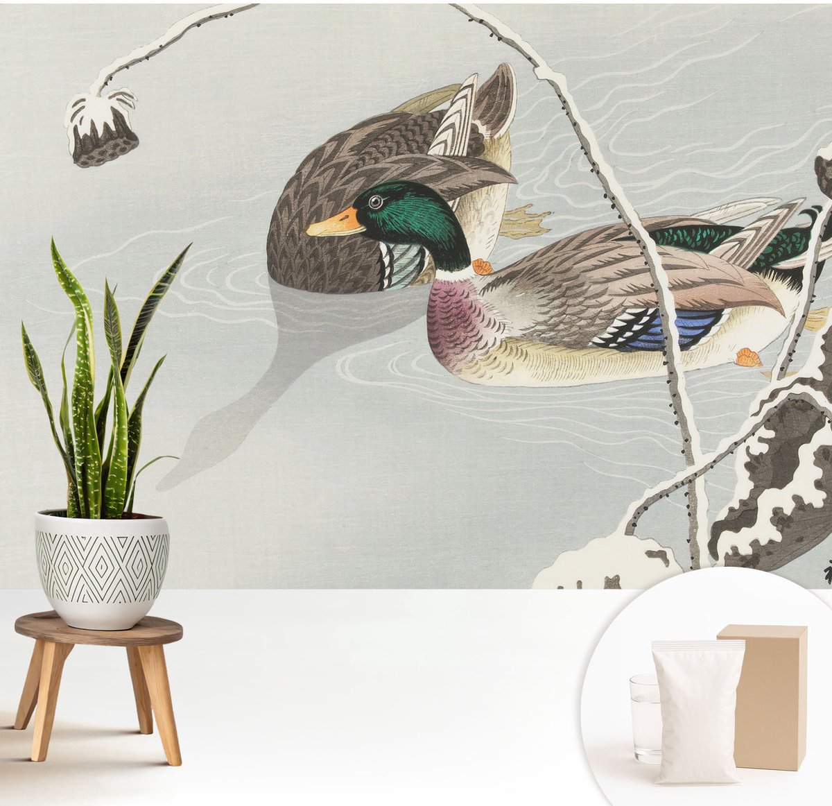Wallfluent Fotobehang - Grijs Vliesbehang - 208x146 cm - Rustige Eenden Muurschildering - Slaapkamer behang Dieren - Fotobehang Vlies - Gang behang