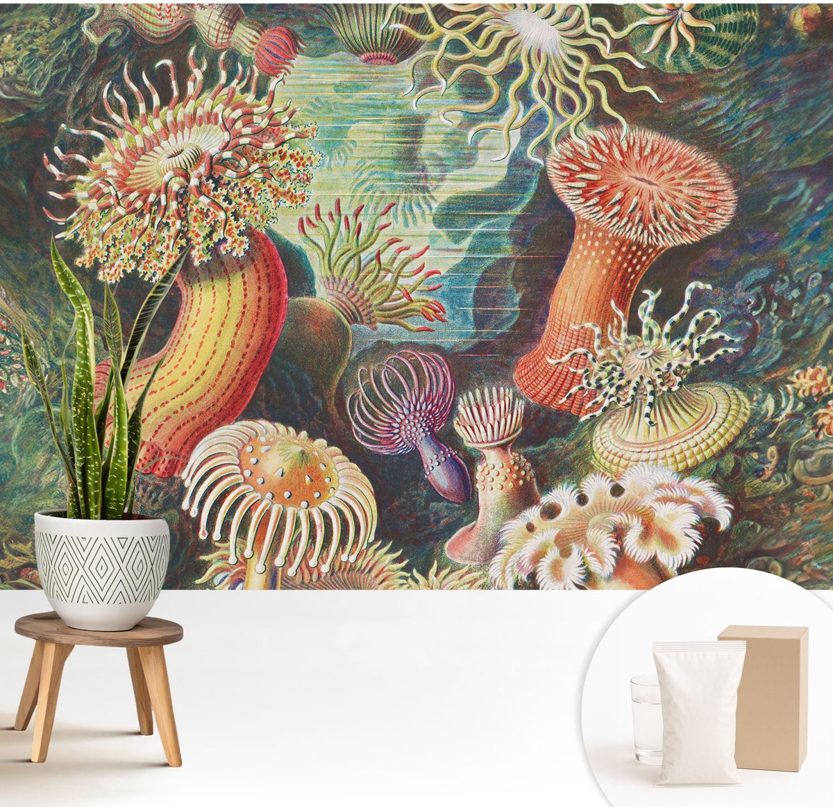 Wallfluent Fotobehang - Groente Vliesbehang - 208x146 cm - Sierlijke Zeeanemonen Fotobehang Vlies - Woonkamer behang Deel - Muurschildering - Woonkamer behang