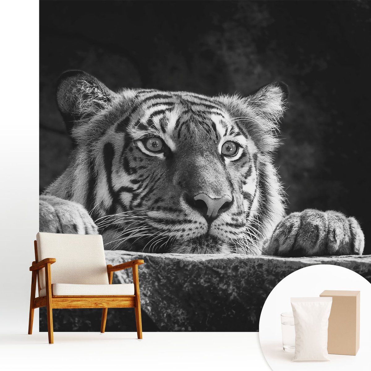 Wallfluent Fotobehang - Zwart-Wit Vliesbehang - 250x250 cm - Roofzuchtige Blik Fotobehang Vlies - Woonkamer behang Dieren - Muurschildering - Woonkamer behang