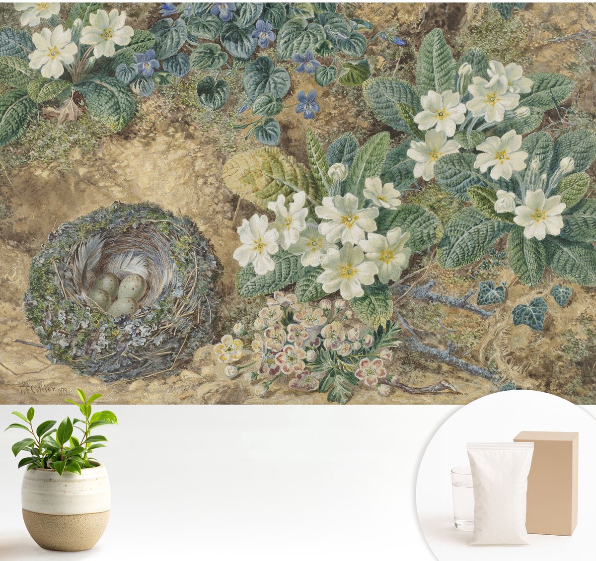 Wallfluent Fotobehang - Wit Vliesbehang - 104x70 cm - Lente Compositie Fotobehang Vlies - Hal behang Bloemen En Planten - Muurschildering - Woonkamer behang