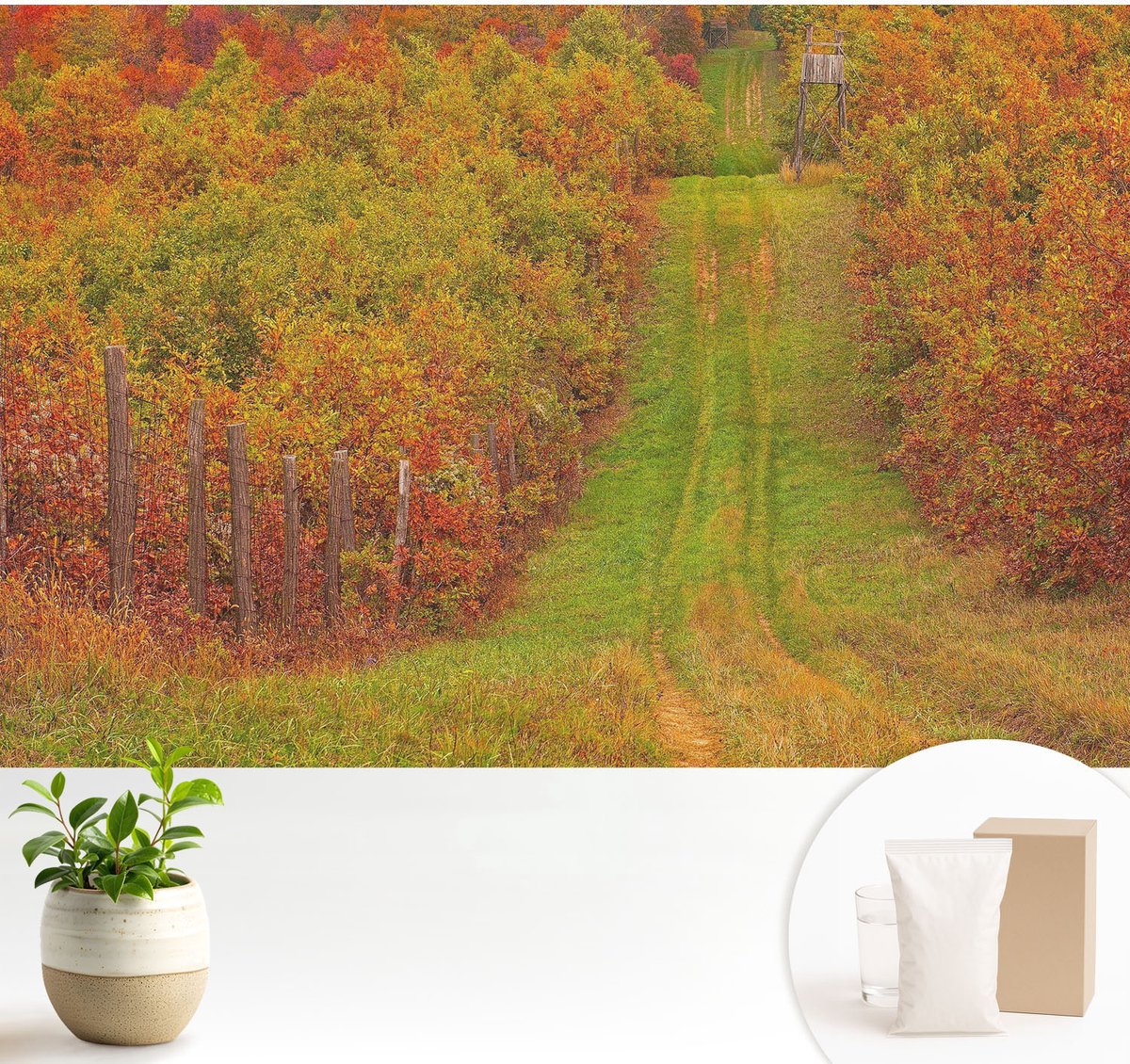Wallfluent Fotobehang - Groente Vliesbehang - 104x70 cm - Herfstkleuren Fotobehang Vlies - Woonkamer behang Landschappen - Muurschildering - Hal behang