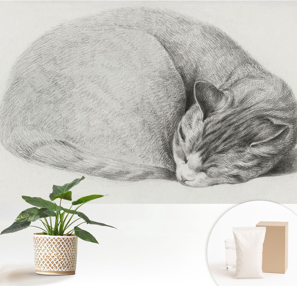 Wallfluent Fotobehang - Grijs Vliesbehang - 152x104 cm - Opgerolde Kat Muurschildering - Gang behang Dieren - Fotobehang Vlies - Gang behang