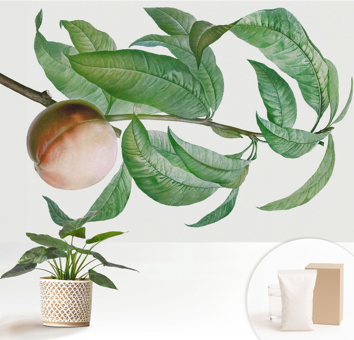 Wallfluent Fotobehang - Groente Vliesbehang - 152x104 cm - Rijpe Perzik Muurschildering - Slaapkamer behang Bloemen En Planten - Fotobehang Vlies - Slaapkamer behang