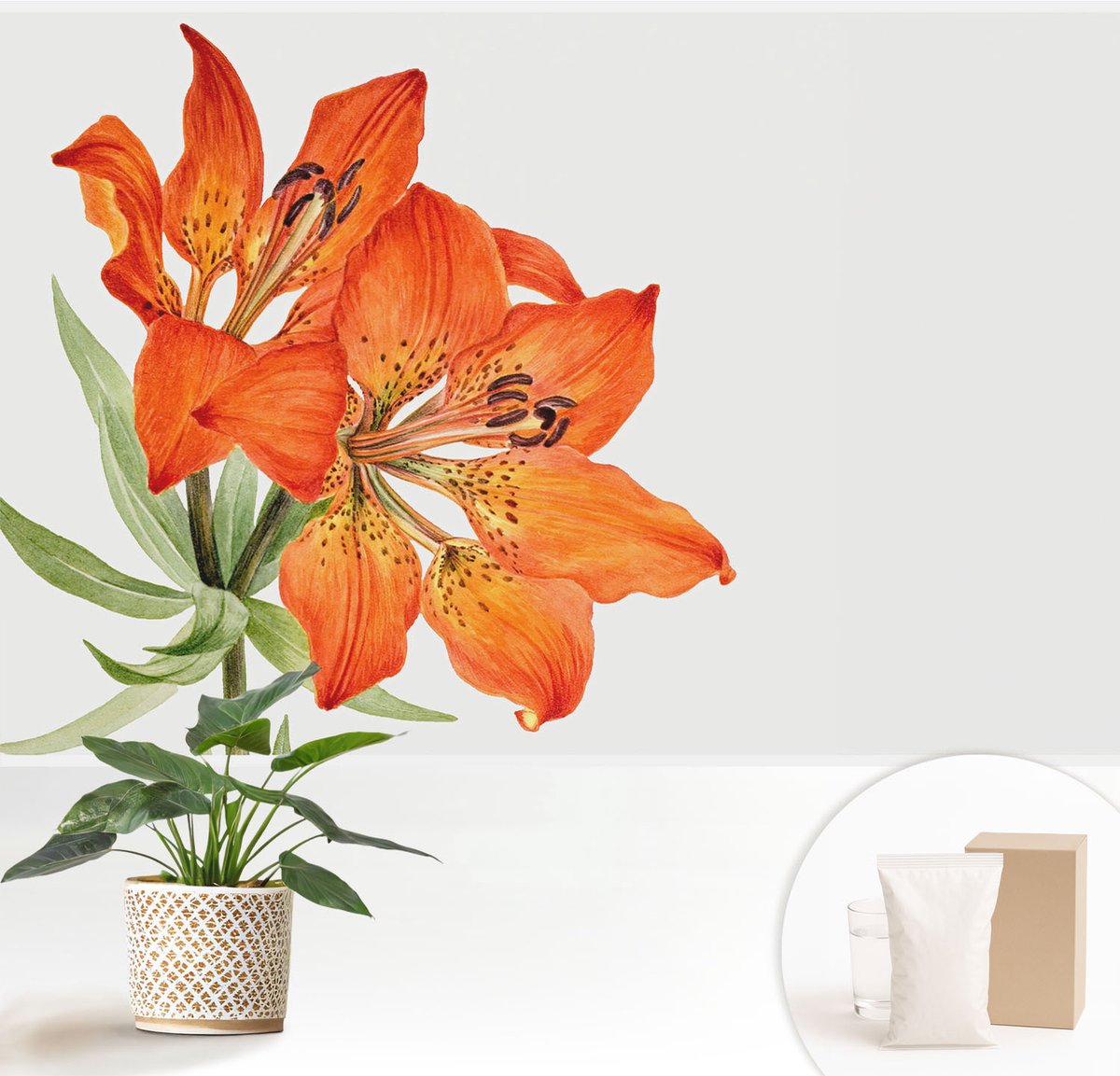 Wallfluent Fotobehang - Oranje Vliesbehang - 152x104 cm - Oranje Lelie Fotobehang Vlies - Hal behang Bloemen En Planten - Muurschildering - Woonkamer behang