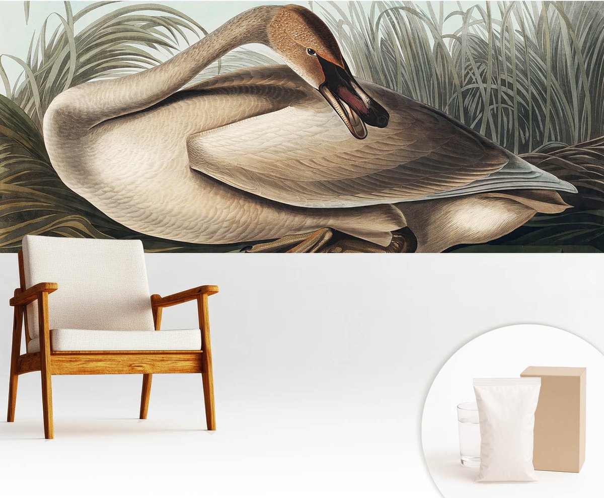 Wallfluent Fotobehang - Bruin Vliesbehang - 250x104 cm - Natuurlijke Vogel Fotobehang Vlies - Woonkamer behang Dieren - Muurschildering - Hal behang
