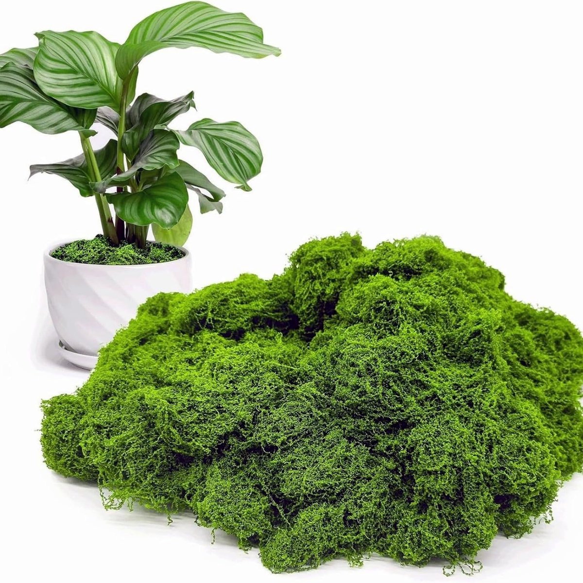 Artificial moss to decorate - ShopVlot