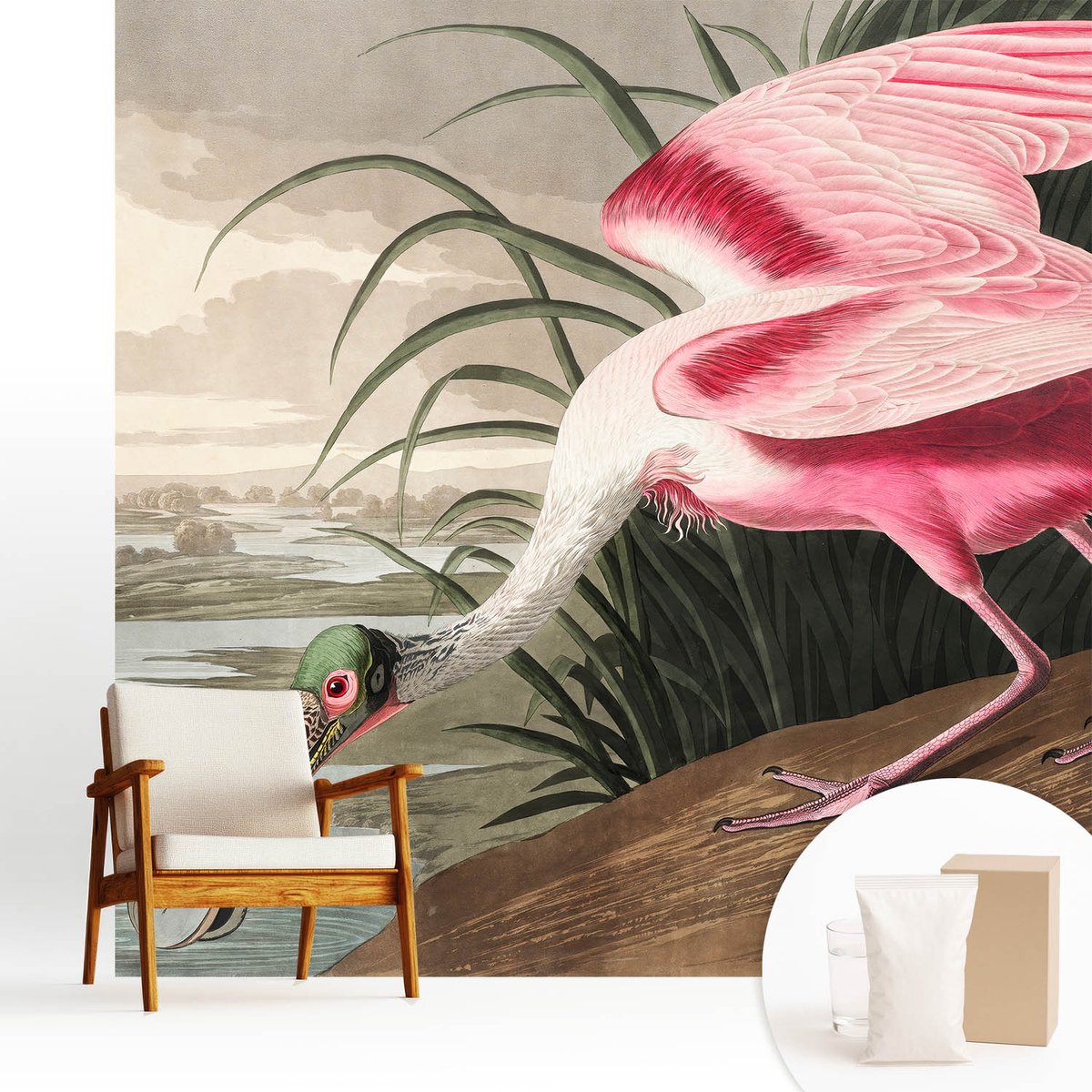 Wallfluent Fotobehang - Grijs Vliesbehang - 250x250 cm - Exotische Vogel Muurschildering - Gang behang Dieren - Fotobehang Vlies - Gang behang