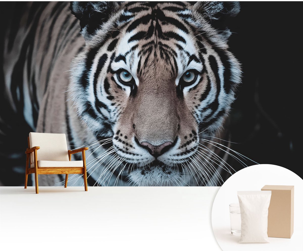 Wallfluent Fotobehang - Zwart Vliesbehang - 416x254 cm - Tijgerportret Fotobehang Vlies - Hal behang Dieren - Muurschildering - Woonkamer behang