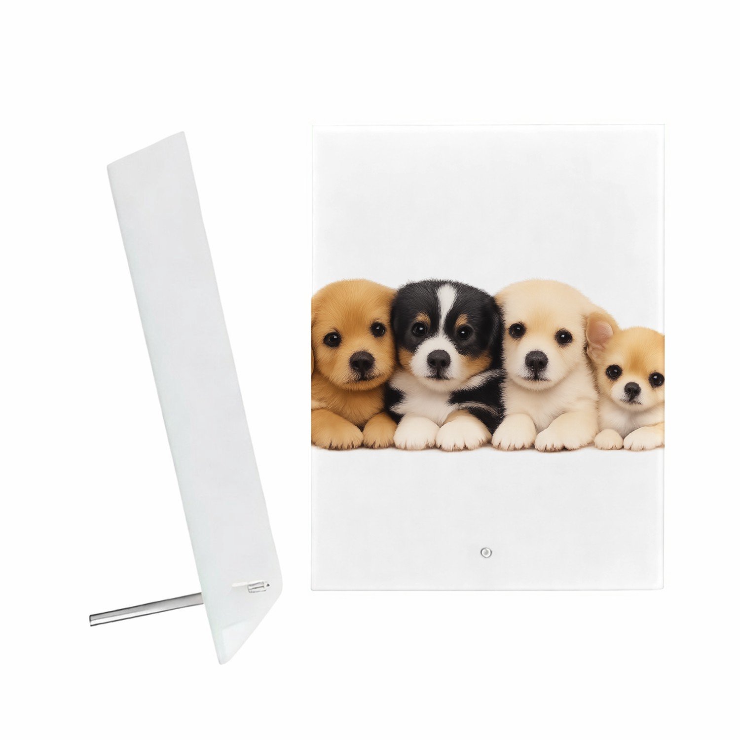 Mr Cadeautjes Glazen fotopaneel Een vrolijke, zachte dierenprint met een compacte groep jong - 15 x 20 cm, staand - glas, decoratie, wanddecoratie | cadeau Wit
