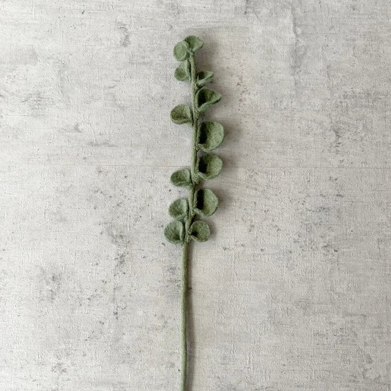 Vilten Tak Eucalyptus - Decoratieve Tak