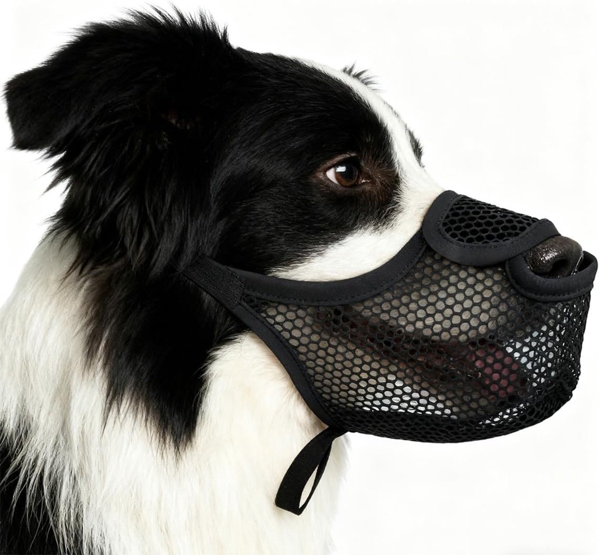 Hondenmuilkorf voor Kleine en Middelgrote Honden - Zachte, Ademende Nylon Muilkorf met Verstelbare Leash - Voorkomt Kauwen en Biedt Comfort